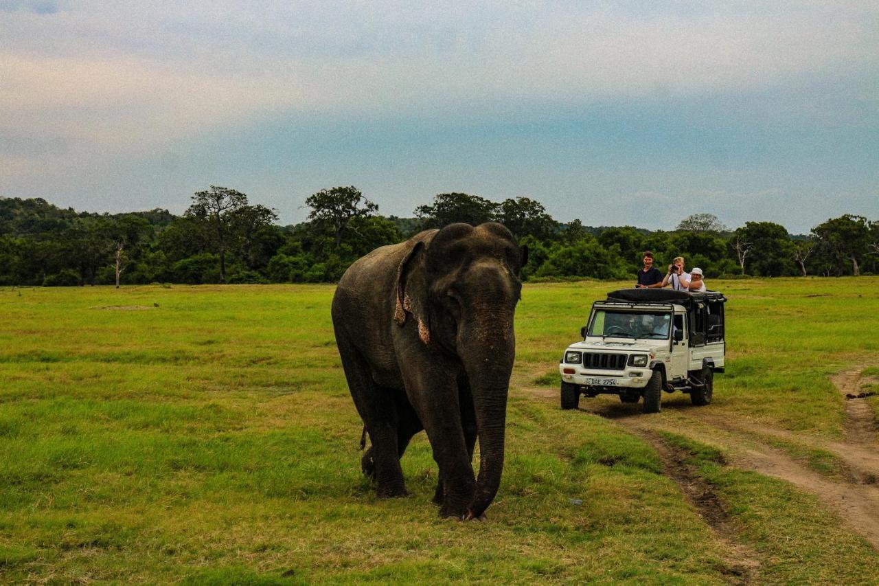 Lakmal Homestay ,10 Minutes To Sigiriya Rock Ngoại thất bức ảnh