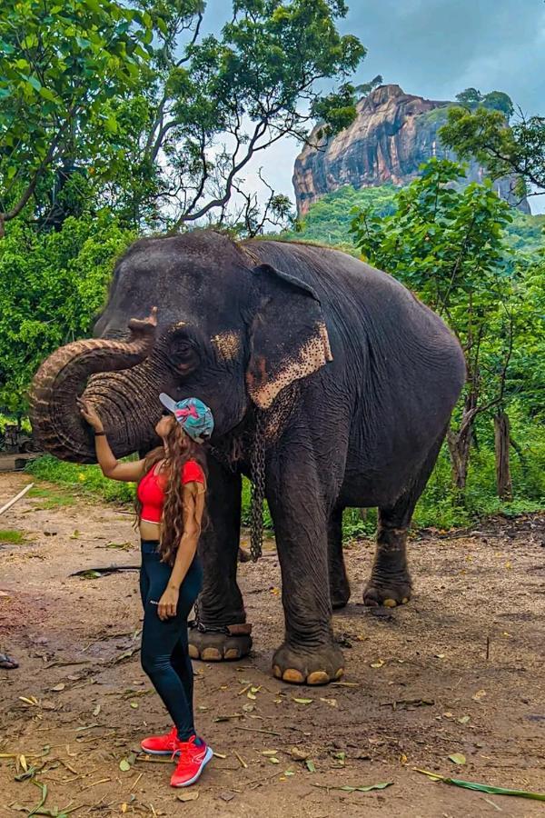Lakmal Homestay ,10 Minutes To Sigiriya Rock Ngoại thất bức ảnh