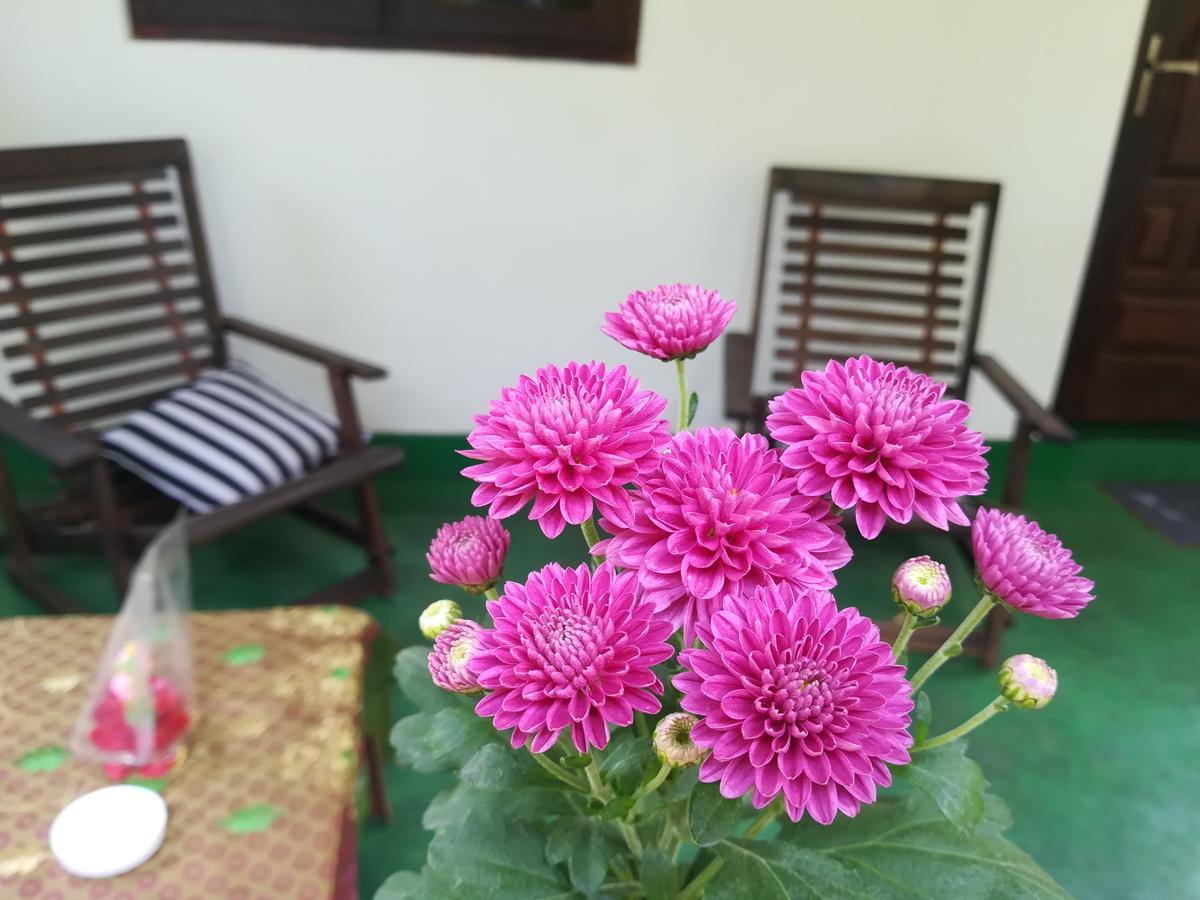 Lakmal Homestay ,10 Minutes To Sigiriya Rock Ngoại thất bức ảnh
